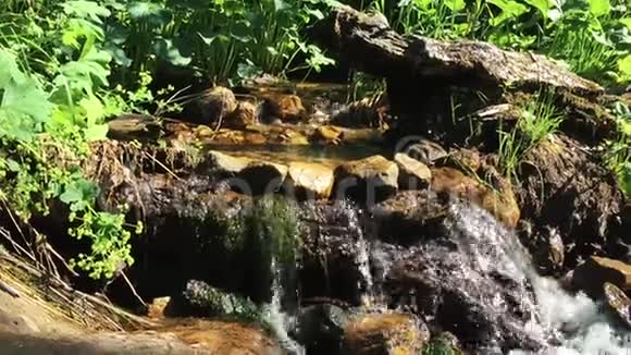 群山中的苔藓溪流视频的预览图