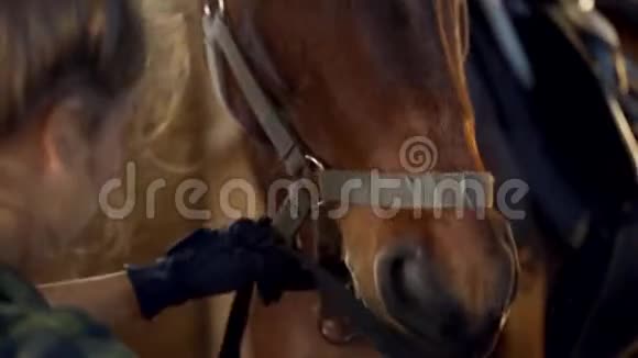 马厩里的女孩准备骑马视频的预览图