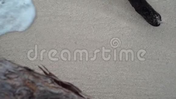 塞舌尔普拉斯林岛卷起波浪在大石头上翻滚热带海岛豪华度假旅游放松视频的预览图