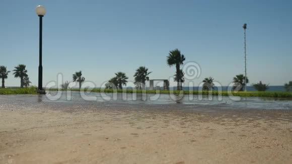 塞浦路斯夏季景观与海岸沿途种植风景如画的棕榈树视频的预览图