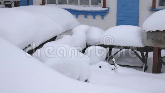 村里一间私房院子里下大雪视频的预览图
