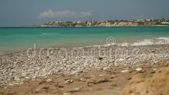 泡沫般的蔚蓝海浪在风景如画的塞浦路斯岛的背景下撞击着一片空旷的石质海滩视频的预览图