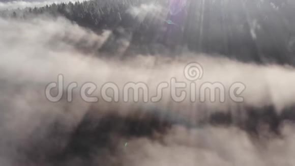 阳光穿透晨雾喀尔巴阡山脉朦胧的曙光穿过树林和山脉视频的预览图