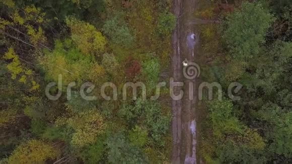 秋林路和森林人鸟瞰图视频的预览图