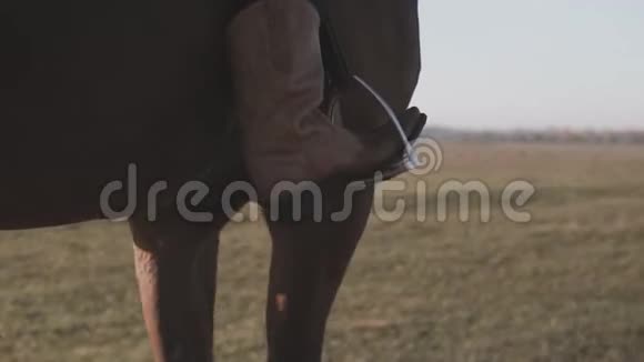 近距离观看美女骑马的靴子棕马女牛仔视频的预览图