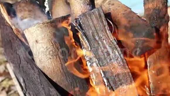 木头在烤架里燃烧火把树包围在烤架里火焰火视频的预览图