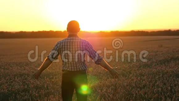 年轻人农夫张开双手看着夕阳下成熟的麦田快乐的商人视频的预览图