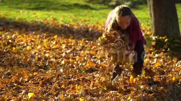 美丽的少女在秋林中嬉戏她钦佩树叶女孩把树叶扔到空中女孩视频的预览图