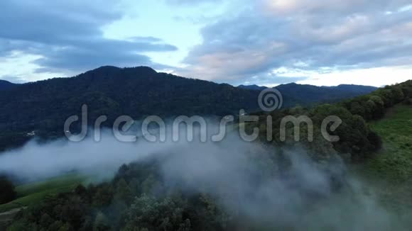神秘而多雾的无人驾驶飞机飞越树冠原始热带雨林鸟瞰电影4K视频的预览图
