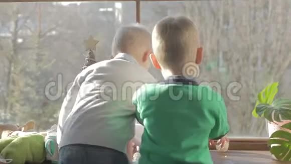 圣诞节的时候两个兄弟正盯着窗台看视频的预览图