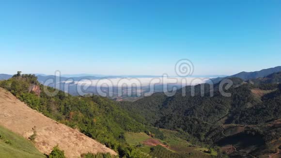 空中观景无人驾驶飞机拍摄风景优美的风景热带自然树林对山视频的预览图