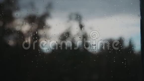 一扇窗户被雨滴覆盖着窗户后面有树视频的预览图