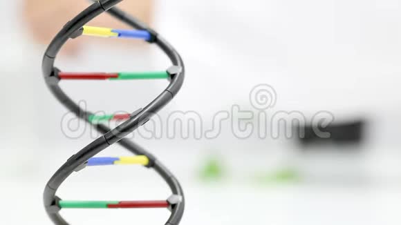 科学实验室DNA模型研究员在后面工作视频的预览图