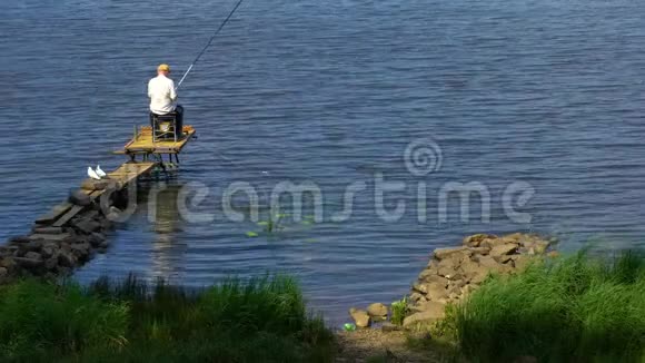 老人在湖边码头钓鱼享受轻松休闲的夏日娱乐视频的预览图