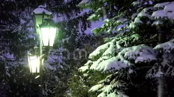 路灯的夜光下着雪雪覆盖着森林的树枝视频的预览图