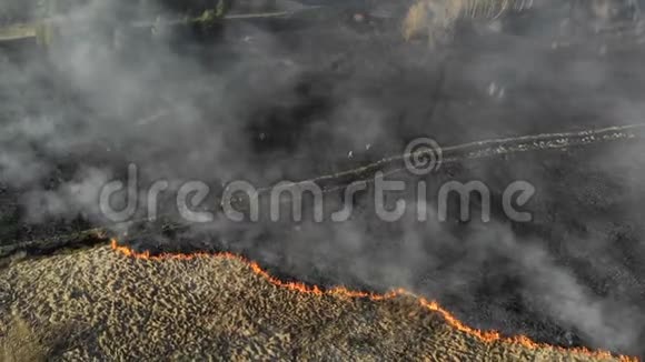 大规模火灾大面积焚烧草木一群消防员评估现场的情况视频的预览图