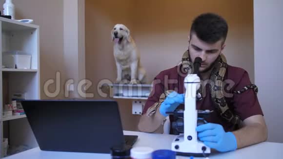 兽医在宠物诊所使用显微镜视频的预览图
