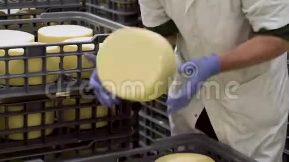 奶酪制造商在老化过程中在奶酪储存处持有奶酪轮视频的预览图
