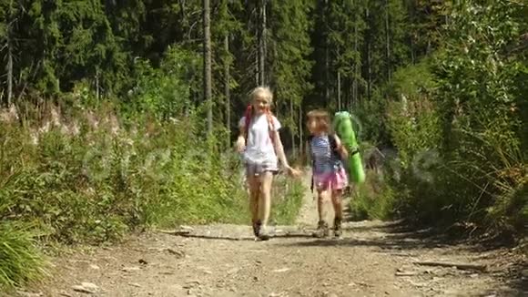 两个女孩带着背包在森林道路上徒步旅行阳光明媚的一天视频的预览图