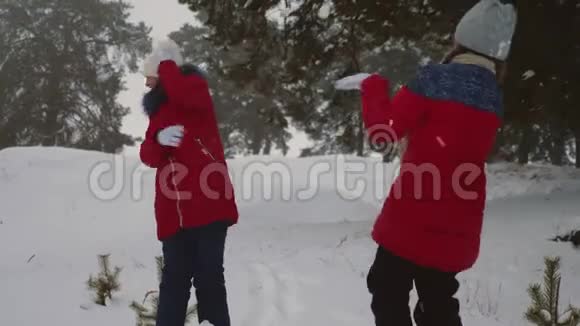 快乐的孩子在松林公园的雪白的山上玩雪球少女们在冬天的森林里玩雪微笑视频的预览图