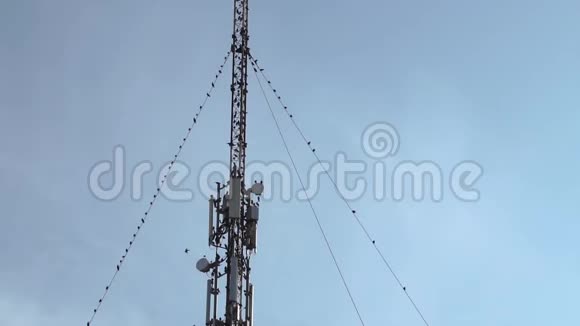 一大群候鸟坐在有天线的无线电或GSM卫星金属塔上视频的预览图