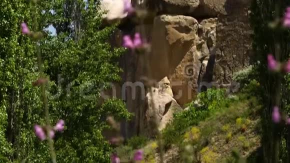 岩石的形成通过花显露出来视频的预览图