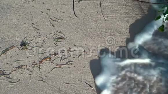 塞舌尔普拉斯林岛泡沫波浪在靠近的大石头上翻滚热带海岛豪华度假旅游放松视频的预览图