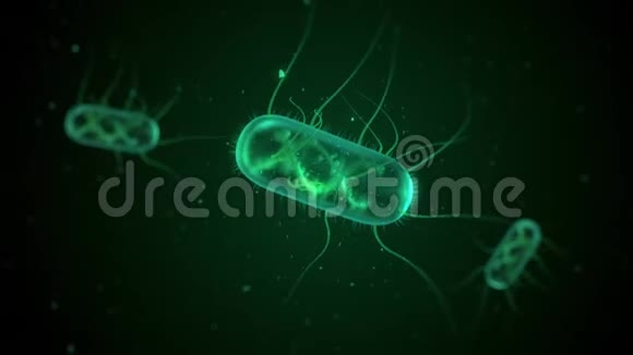 E大肠杆菌漂浮视频的预览图