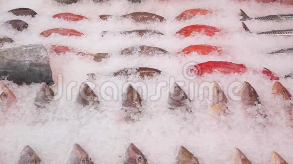 把鱼放在冰上放在鱼贩摊上视频的预览图