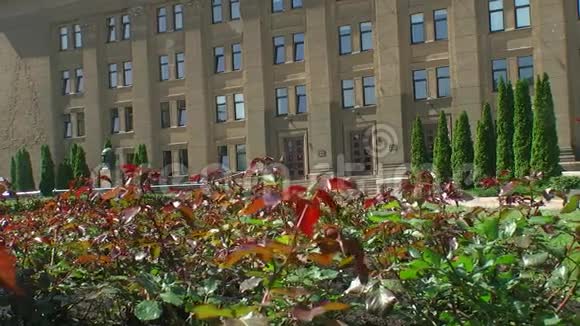 拉脱维亚达加维尔大学视频的预览图