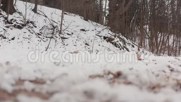 4K路旁确定了一辆白色货车沿着雪道行驶的镜头视频的预览图