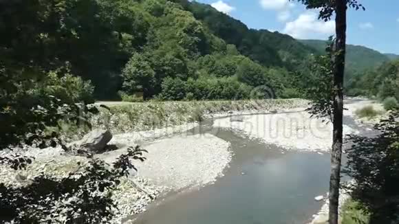 山中森林近的小河夏日阳光明媚视频的预览图