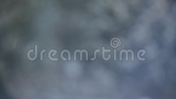 秋雪杉树背景高清镜头视频的预览图