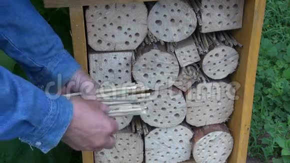 园丁用芦苇填充昆虫旅馆视频的预览图