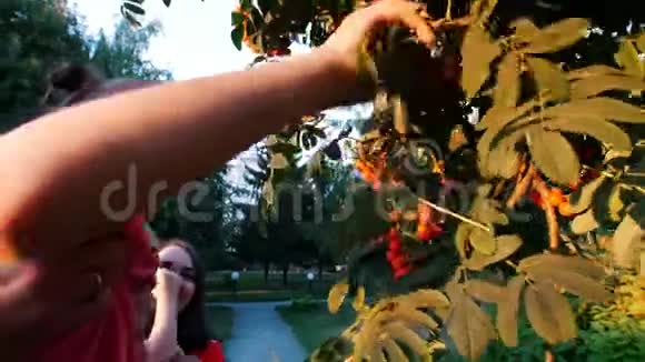 父母把孩子抱在怀里孩子被树上的浆果吸引公园夏天视频的预览图