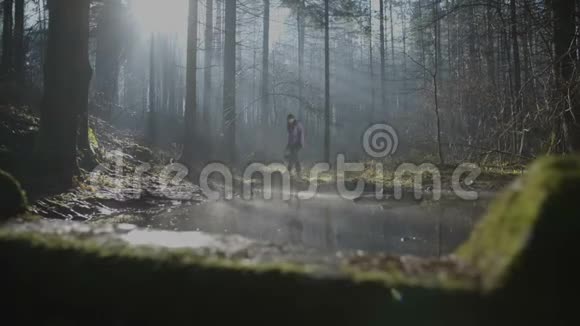 年轻女子拿着篮子在森林里慢慢地走着视频的预览图