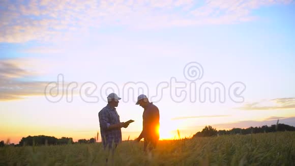 两位商人在日落时分在麦田里握手使用平板电脑成交质量高视频的预览图