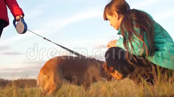 十几岁的女孩在公园里遛宠物狗视频的预览图