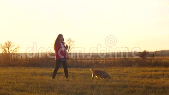 妈妈和女儿在日落时和他们心爱的狗一起散步慢动作视频的预览图