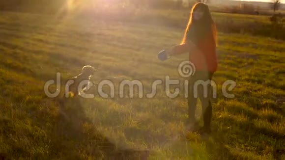 年轻漂亮的女人正在夕阳下和狗玩耍和奔跑视频的预览图