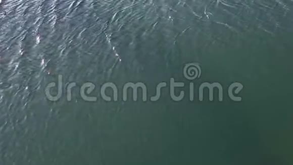 海水表面的波纹视频的预览图