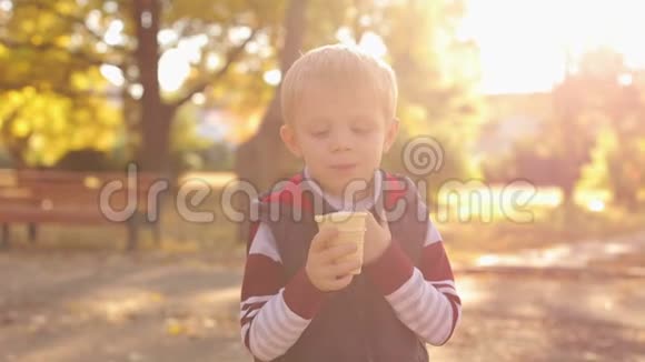 金秋公园一个带冰淇淋的孩子的肖像视频的预览图