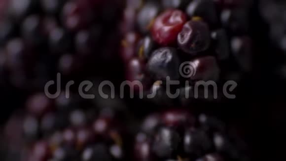 大黑莓黑贝瑞特写4K视频的预览图