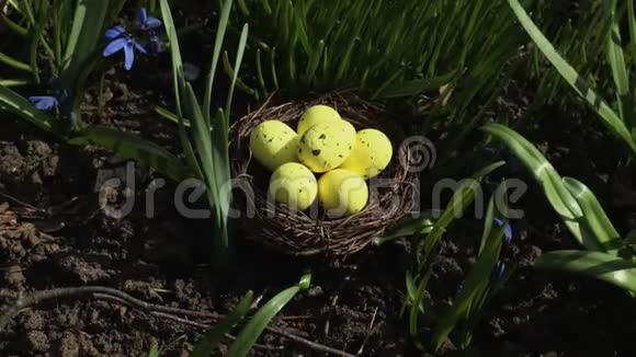 在绿草上筑巢的黄蛋复活节概念视频的预览图