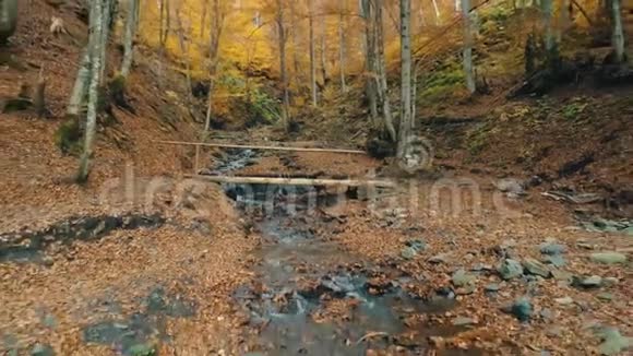 山溪上有一座棕色的小桥上面有落叶视频的预览图