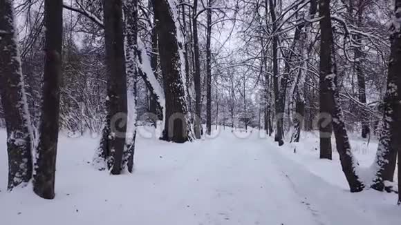 爱尔兰共和军博物馆的冬季景观视频的预览图