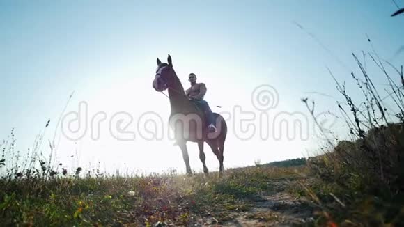 强壮强壮的年轻人在阳光下的田野里骑马行走视频的预览图