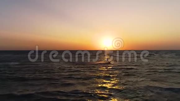 橙色的日落在海上一个孤独的风筝航行到一边视频的预览图