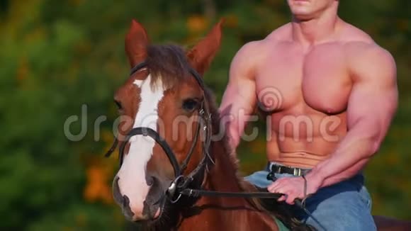 阳光明媚的夏日肌肉发达的男人骑着马在田野上视频的预览图