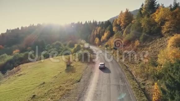 汽车沿着灰色沥青路行驶经过茂密的混合森林视频的预览图